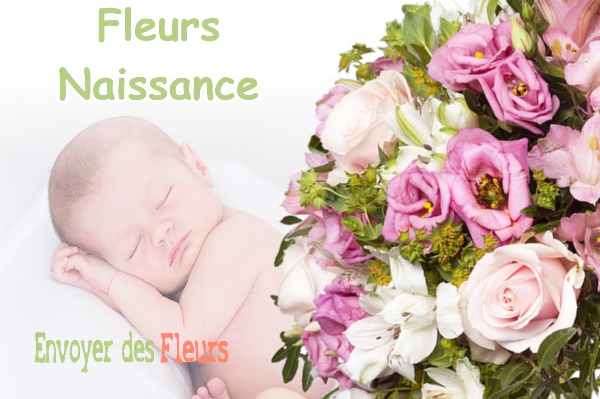 lIVRAISON FLEURS NAISSANCE à PIERLAS